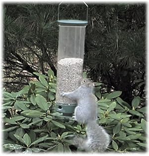Droll Yankees Squirrel Proof Bird Feeder Spinner Yankee Flipper