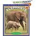 Elephants (True Books: Animals)