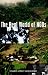 The Real World of NGOs: Discourses, Diversity and Development