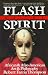 Books : Flash of the Spirit: African & Afro-American Art & Philosophy