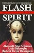 Flash of the Spirit: African & Afro-American Art & Philosophy
