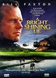 A Bright Shining Lie
