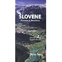 Slovene-English Dictionary and Phrasebook (Hippocrene Dictionary and Phrasebook)