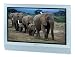 Toshiba 26HL84 26-Inch HD-Ready Flat-Panel LCD TV