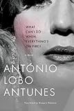 What Can I Do When Everything's on Fire?: A Novel