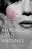 What Can I Do When Everythings on Fire?: A Novel