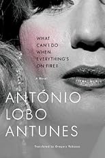 What Can I Do When Everything's on Fire?: A Novel