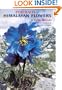Portraits of Himalayan Flowers
