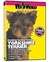 YORKSHIRE TERRIER DVD:  + Dog & Puppy Training Bonus