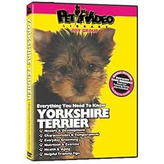 YORKSHIRE TERRIER DVD:  + Dog & Puppy Training Bonus