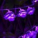 CrazyFire 6.5ft/2.2m Rose Flower String Lights,20 LEDs Purple Wedding Decorations Lights for Chritsmas Wedding Halloween Patio Party Fairy String Lights
