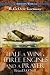  : Half a Wing, Three Engines and a Prayer