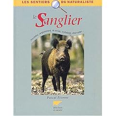 Le sanglier