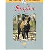 Le sanglier
