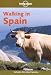Walking in Spain (Lonely Planet Walking Guides)