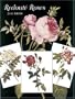 Redout� Roses: Postcards in Full Color- 24 Ready-to-Mail Cards