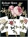 Redoute Roses Postcards in Full Color: 24 Ready-To-Mail Cards (Card Books)