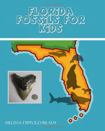 Florida Fossils for Kids
