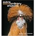 Extra Extraordinary Chickens