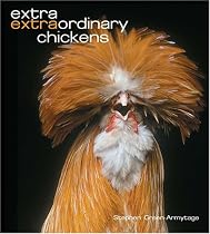 Extra Extraordinary Chickens