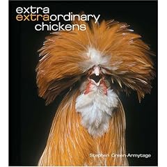 Extra Extraordinary Chickens