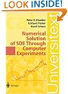 Numerical Solution of SDE Through Computer Experiments (Universitext)