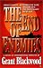 The End of Enemies (Briggs Tanner Novels)