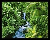 Tropical Rain Forest (River & Waterfall) Black Wood-Mounted Art Poster Print - 16" X 20"