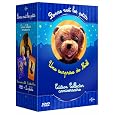 D�tails sur le produit
