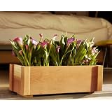 Pasadena Window Box Planter Group