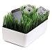Kikkerland OR08-W Grass Charging Station, White