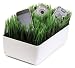 Kikkerland OR08-W Grass Charging Station, White