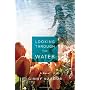 Looking Through the Water by Ginny Karoub