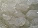 Keysands Live Organic Water Kefir Grains (Crystals, Tibicos)