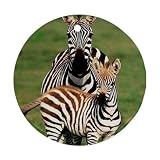 Zebra Ornament (Round)
