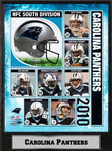 Encore Select 510-FBCAR2010 2010 Carolina Panthers 9X12 Plaque