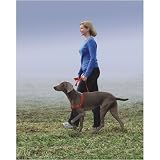 Gentle Leader Easy Walk Harness (Medium/Large) Red
