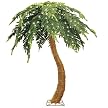 Pre-lit Palm Tree with 400 Clear Lights - 321165C