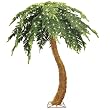 Pre-lit Palm Tree with 400 Clear Lights - 321165C