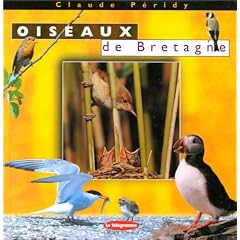 Oiseaux de bretagne