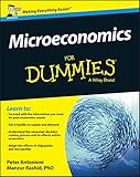 Microeconomics for dummies