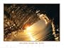 Golden Sunrise Curl Art Poster Print by Woody Woodworth, 24x18