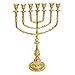 Seven Branches Brass Menorah 14 inch height