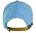Nike Golf- Nike Golf True Ox Cap