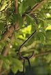 Large Bronze "S" Hook Large Bronze "S" Hook