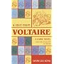 A Visit from Voltaire: A Comic Novel