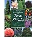 Sacred Groves: The Wonder of Trees
