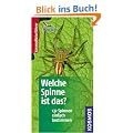 Welche Spinne ist das?: 132 Spinnen einfach bestimmen. Basic