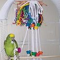 Bird Toy - Wild Series - Berserk Challenge Toy - Great Toy for Medium to Large Birds