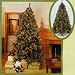 9.5' Pre-Lit Mixed Tip Cascade Artificial Christmas Tree Clear Lights #170621C